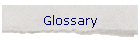 Glossary